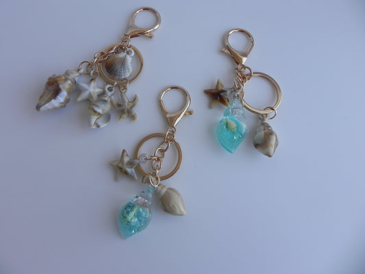 Seashell Collection Keychains