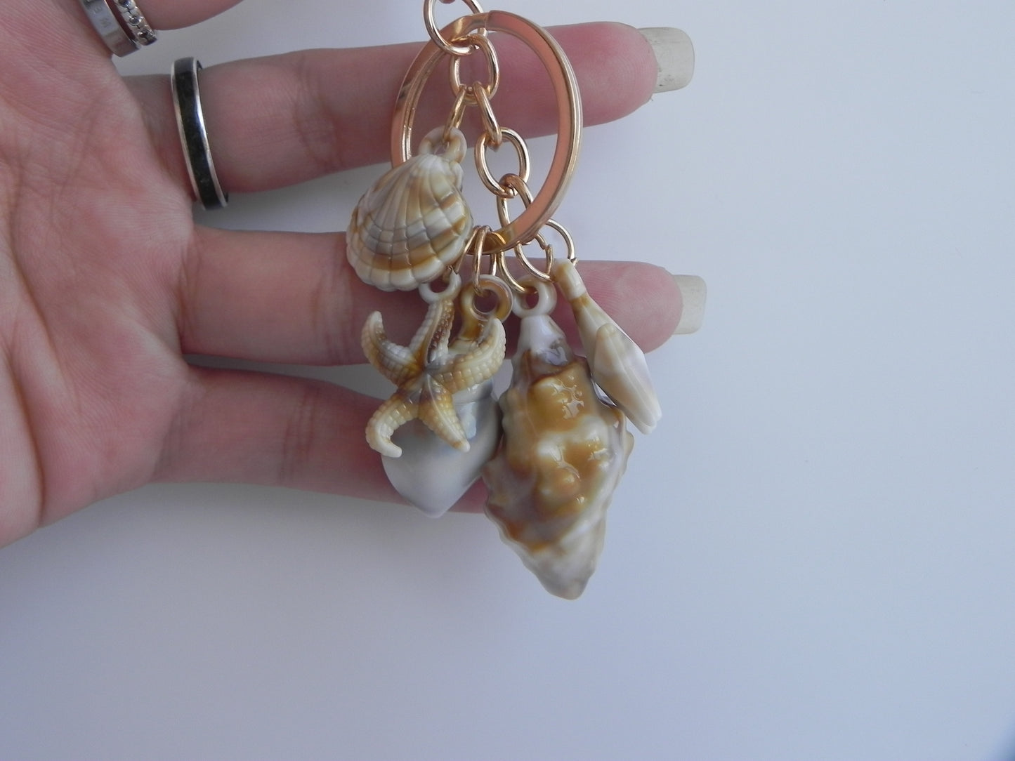 Seashell Collection Keychains